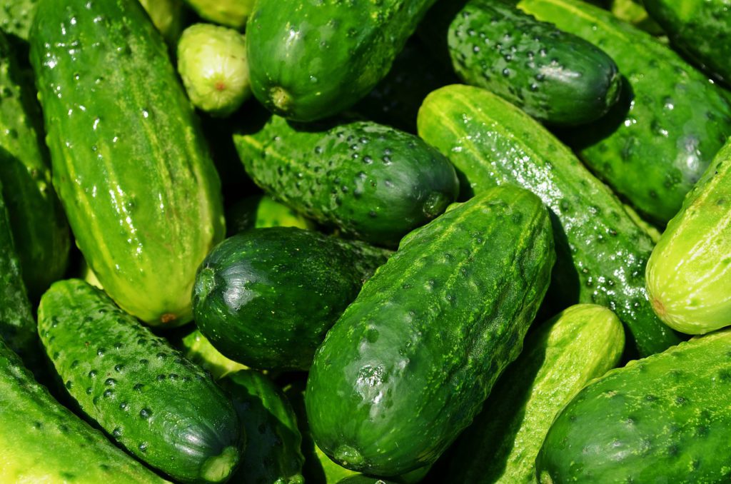 okurka