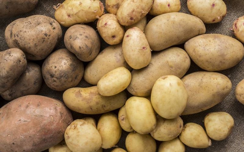 Jak správně skladovat brambory v bytě?