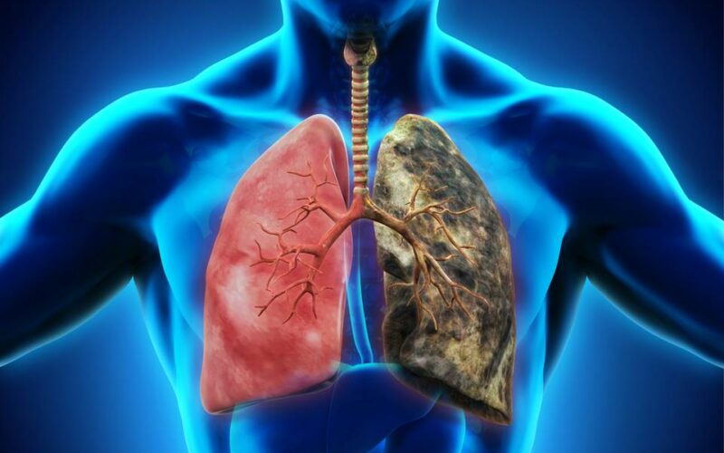 Jak rychle regenerují plíce?
