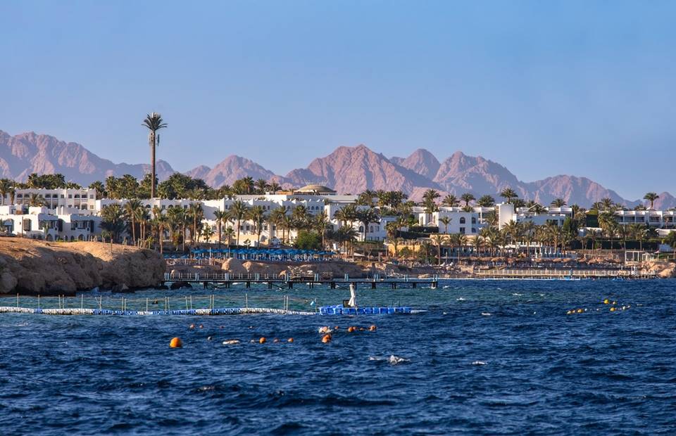 Egypťané se turistům diví, že lezou do moře. Žraloky se to tam jen hemží, útoky jsou časté