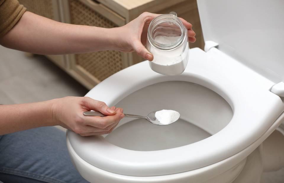 The Japanese have learned to put salt in the toilet. There is a simple  reason for this - World Today News