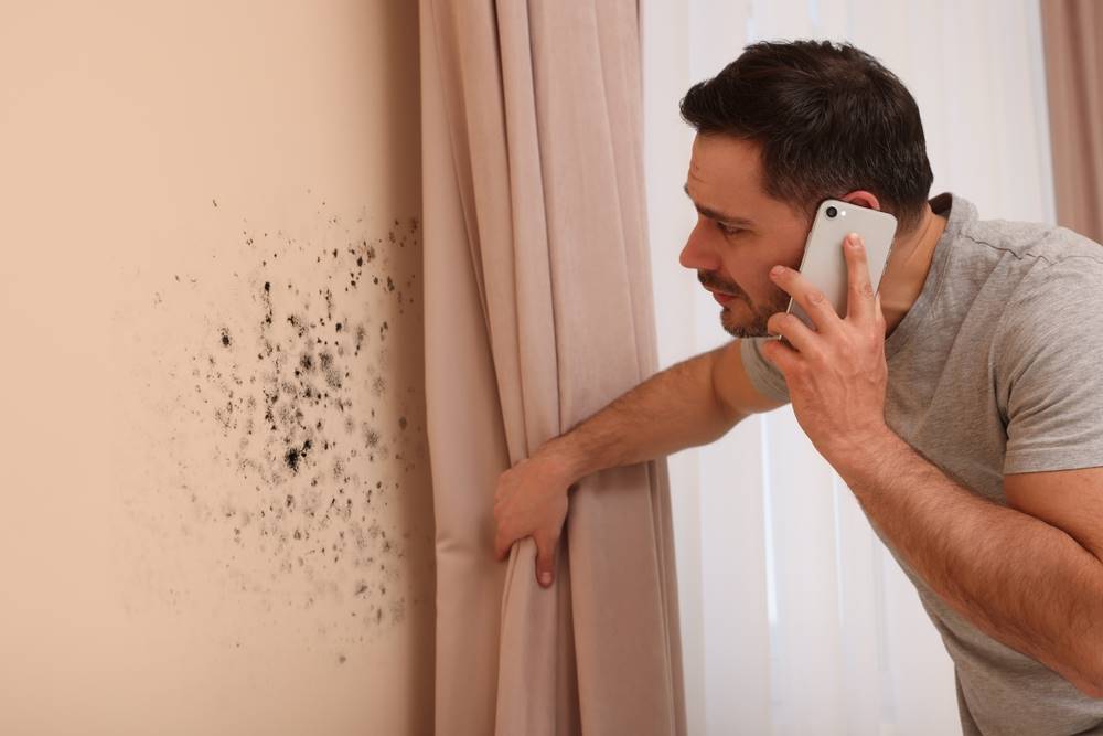 Top Tips for Safely Removing Mold Use Vinegar or Bleach, Protective